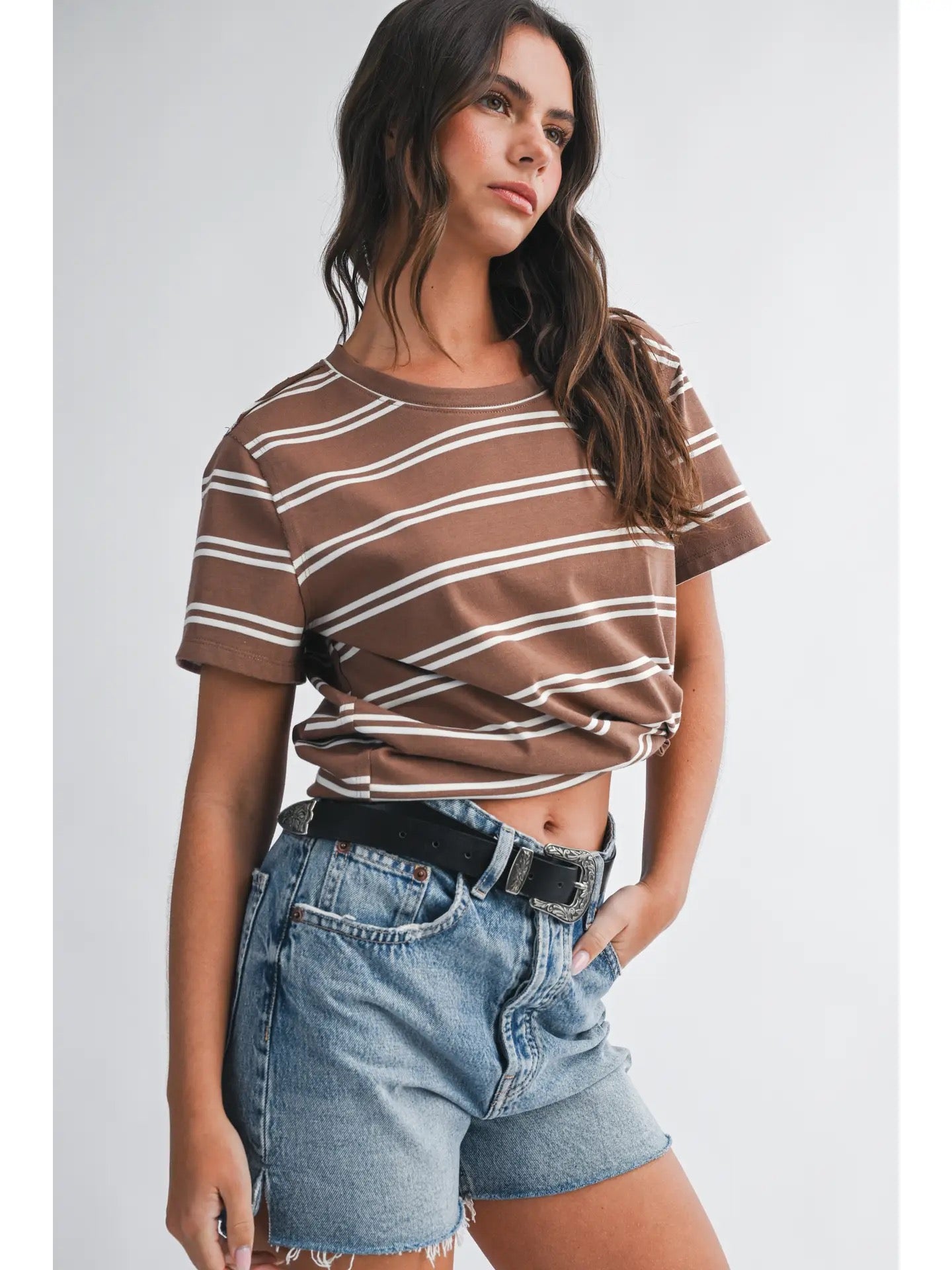 Striped Short Sleeve Tee (Two Colors)