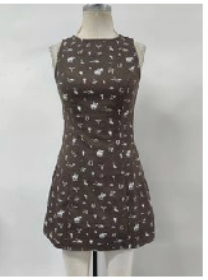 Western Print Dress