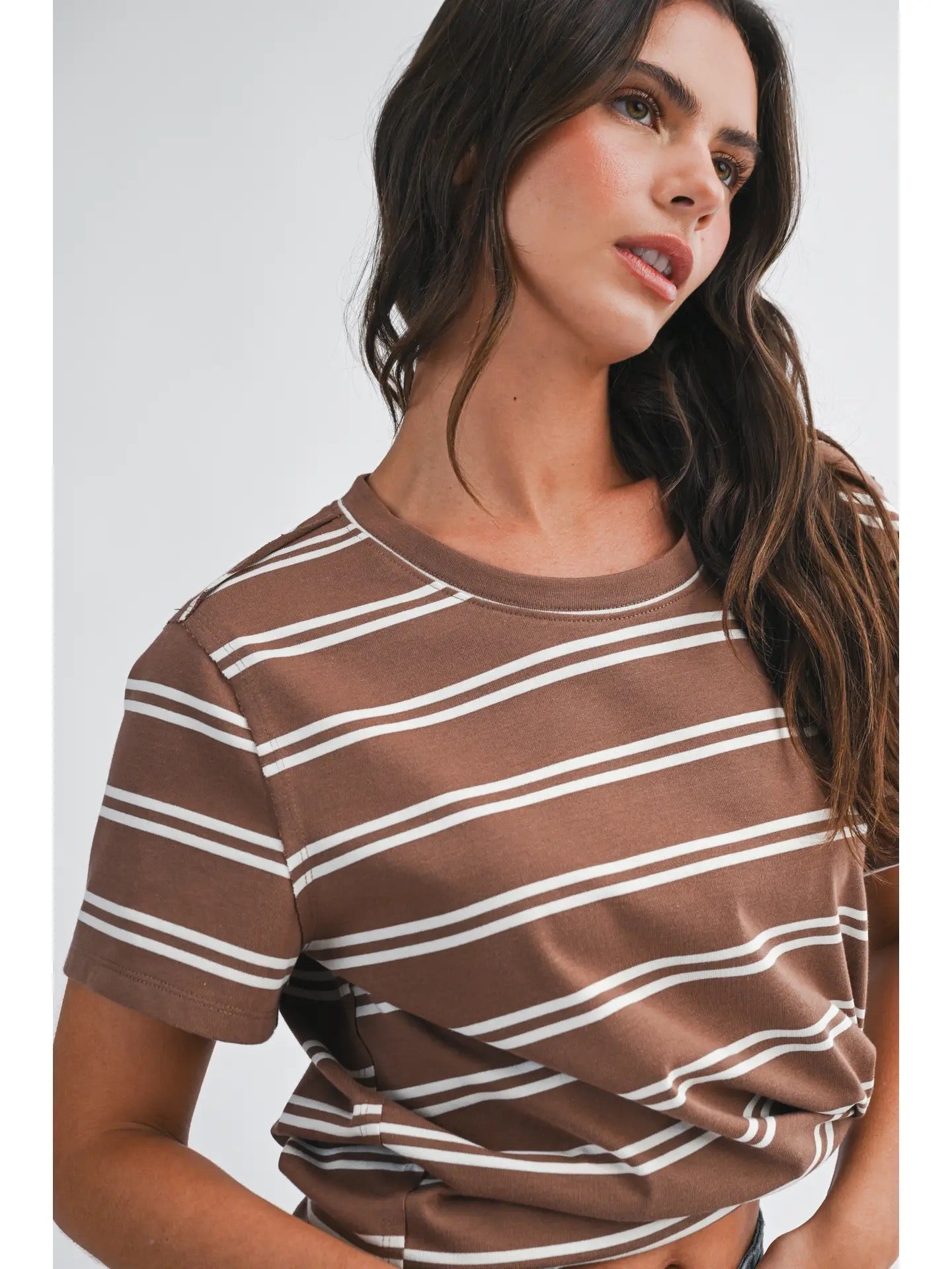 Striped Short Sleeve Tee (Two Colors)