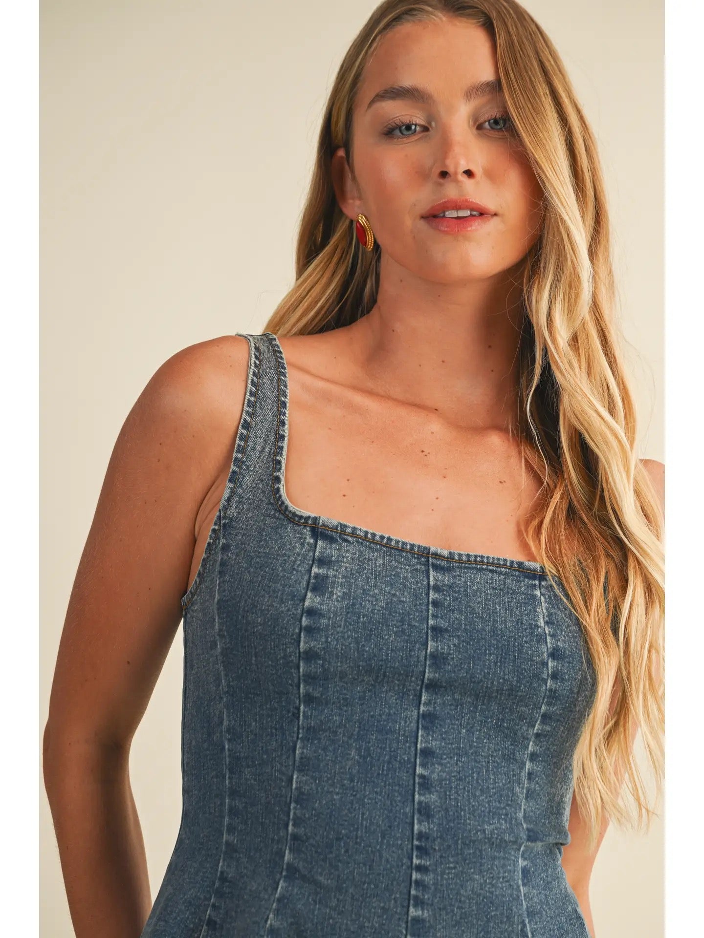 Franny Denim Dress