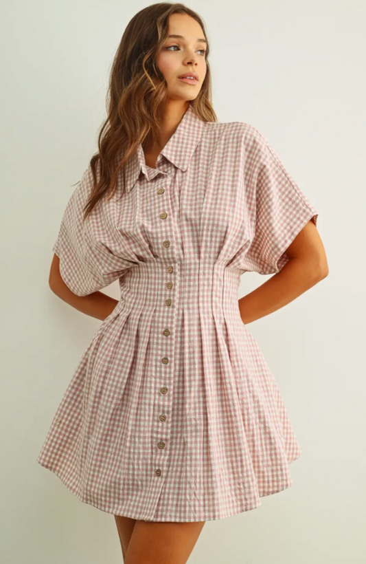 Blakely Shirt Dress (Two Colors)