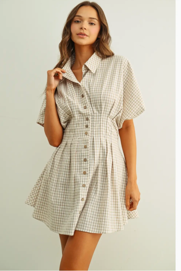Blakely Shirt Dress (Two Colors)
