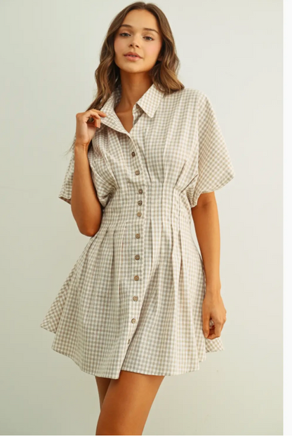 Blakely Shirt Dress (Two Colors)