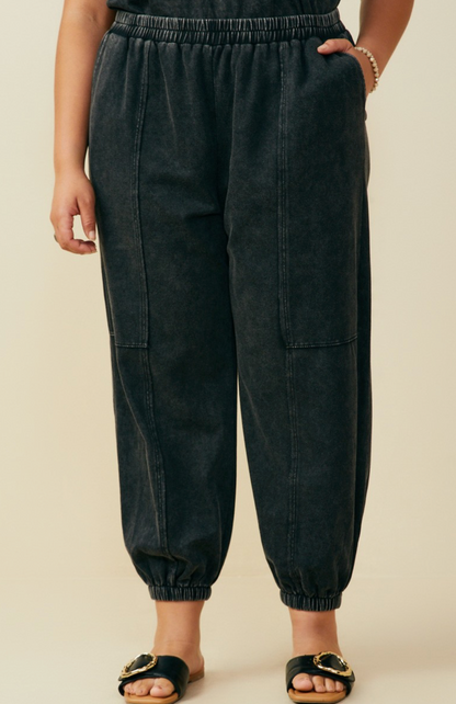 Dana Paneled Knit Joggers (Plus)