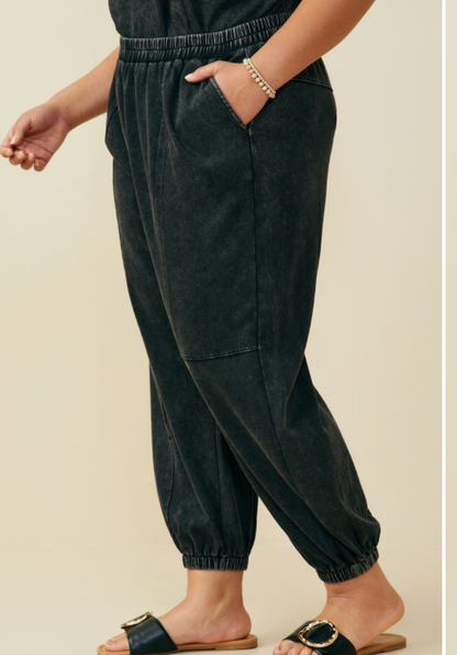 Dana Paneled Knit Joggers (Plus)
