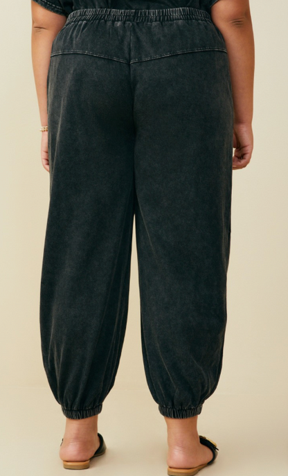 Dana Paneled Knit Joggers (Plus)