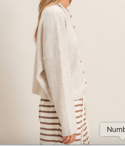 Phoenix Collared Sweater Cardigan (Three Colors)